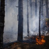 Hay 78 incendios activos en el país: Conafor