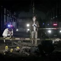 Serie digital policiaca de Carlos Bolado