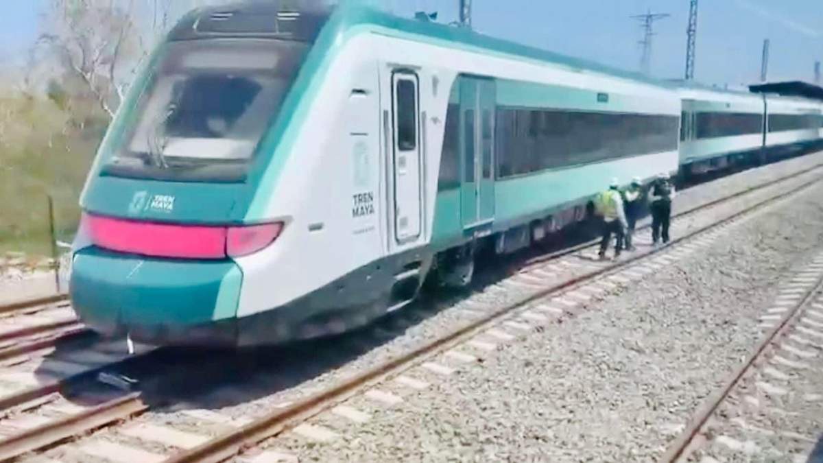 El tren que sufrió el percance