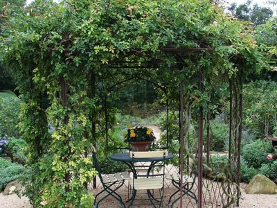 3 plantas ideales para pérgolas que realzan el entorno por su belleza y que son muy fáciles de mantener