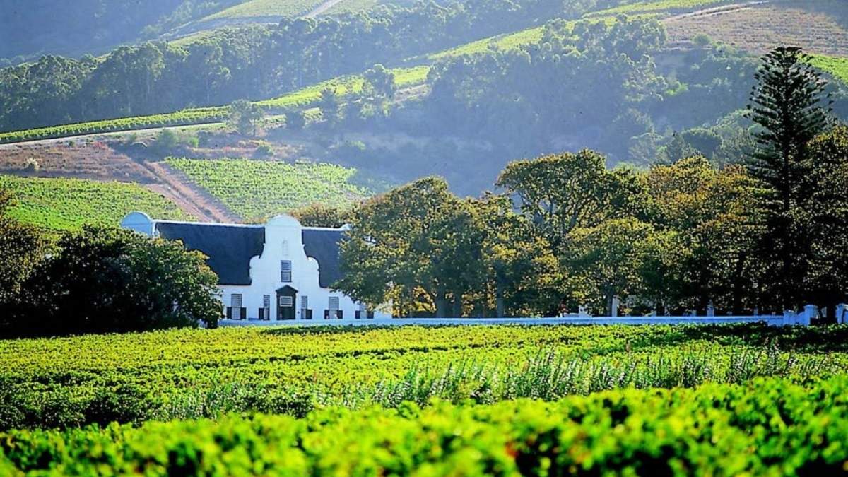 Ciudad del Cabo es ahora capital del Vino. Fuente. (Instagram)