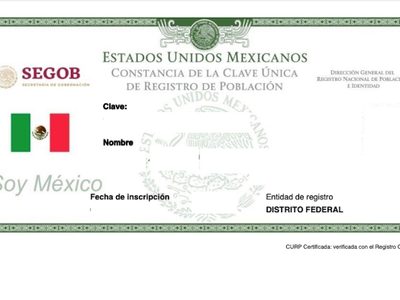 ¿Problemas para descargar la CURP? Esto es lo que se sabe