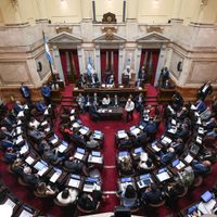 Los libertarios votarán a favor de Ficha Limpia