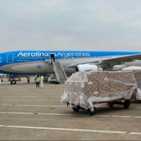Coronavirus: Aerolíneas Argentinas volverá a viajar a China para traer insumos médicos