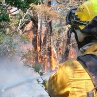 Continúa el incendio en el Valle Magdalena, 250 brigadistas combaten las llamas