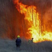 Buscan extender la emergencia ígnea en Neuquén ante el alto riesgo de incendios