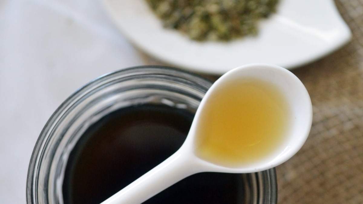 Stevia casera. Fuente: (Instagram).