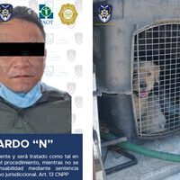 Ricardo mató a tres perros cachorros con un hacha en 2021; fue sentenciado a cuatro años de prisión