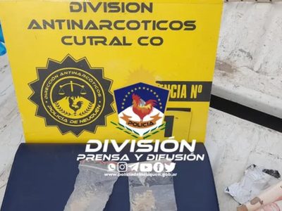La División Antinarcóticos secuestró marihuana y anfetaminas con la ayuda de Polo, el perro policía