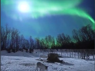 La NASA lanza dos cohetes a las entrañas de una aurora boreal