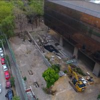 Mitikah enfrenta nueva denuncia por tala ilegal de árboles en Xoco