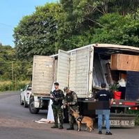 Misiones: la Prefectura Nacional secuestró cuatro toneladas de droga