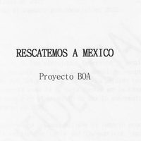 Sin validar su autenticidad, AMLO difunde "estrategia" opositora bajo el nombre de BOA