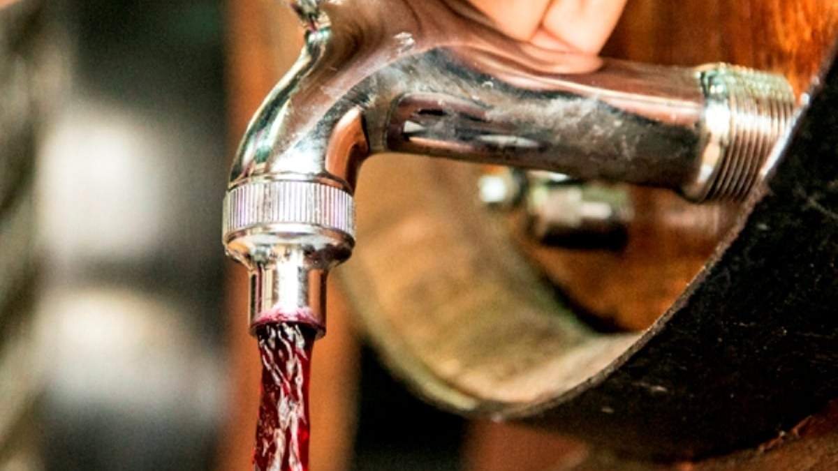 Podrán vender vino suelto en Río Negro. Fuente; (Twitter)
