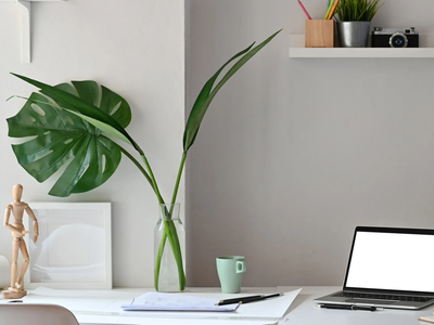 Cuáles son las mejores plantas de escritoro: modernas, súper decorativas y muy fáciles de cuidar