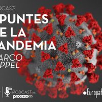Apuntes de la pandemia