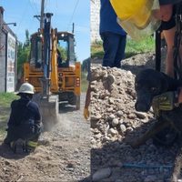 Fuerte operativo en Centenario para rescatar a una perrita atrapada en una cañería