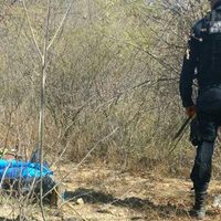 Confirman ejecución de líder de taxistas y su esposa en Guerrero