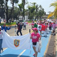 Débil convocatoria de la “marea rosa” en Guerrero: Unos 300 en Acapulco, 50 en Chilpancingo