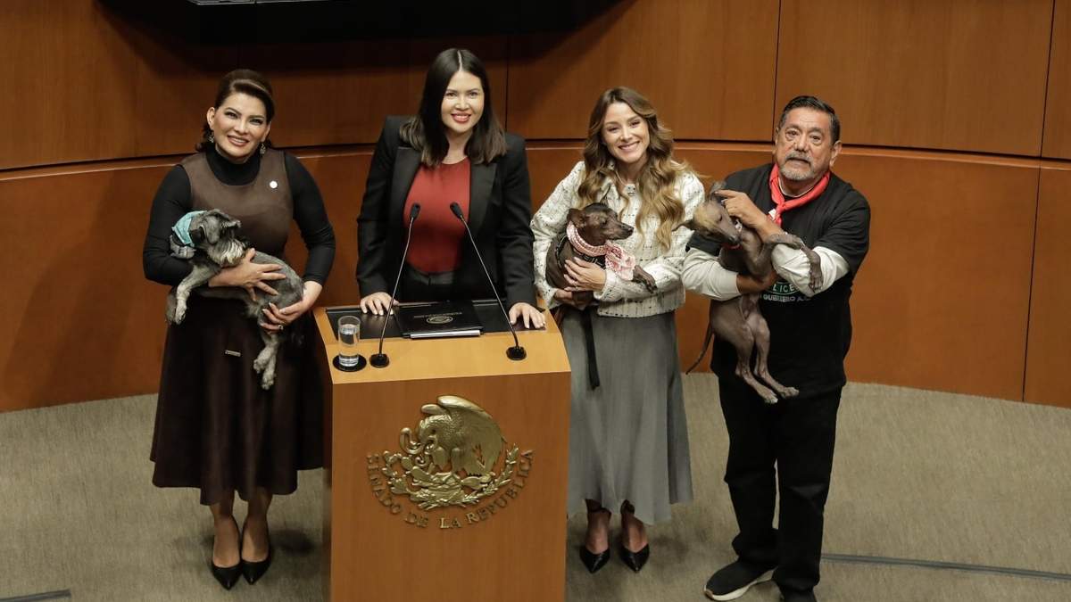 Senadores llevaron a sus mascotas al salón de sesiones