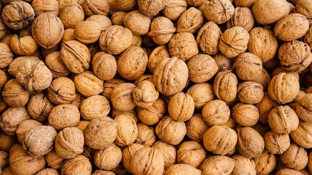 Producción de nueces en Patagonia. Fuente: (Twitter)