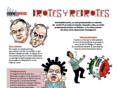 Brotes y rebrotes