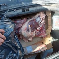 Decomisaron 120 kilos de carne en el Tercer Puente