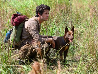 Romance y acción postapocalíptica: así es “Love and Monsters”, la nueva película de Dylan O'Brien