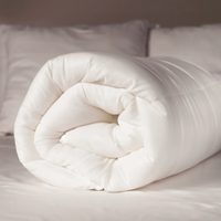 No reniegues ni gastes en lavandería: limpiá tu acolchado de plumas con estos trucos infalibles