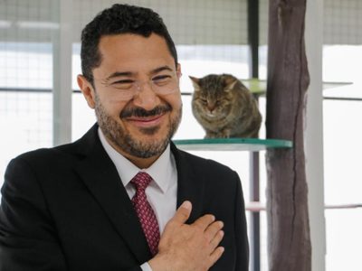 Inauguran el centro "Michigan", diseñado para el rescate y la atención de gatos