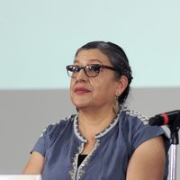 ONU-DH cuestiona nombramiento de Guadalupe Reyes Sahagún en la CNB