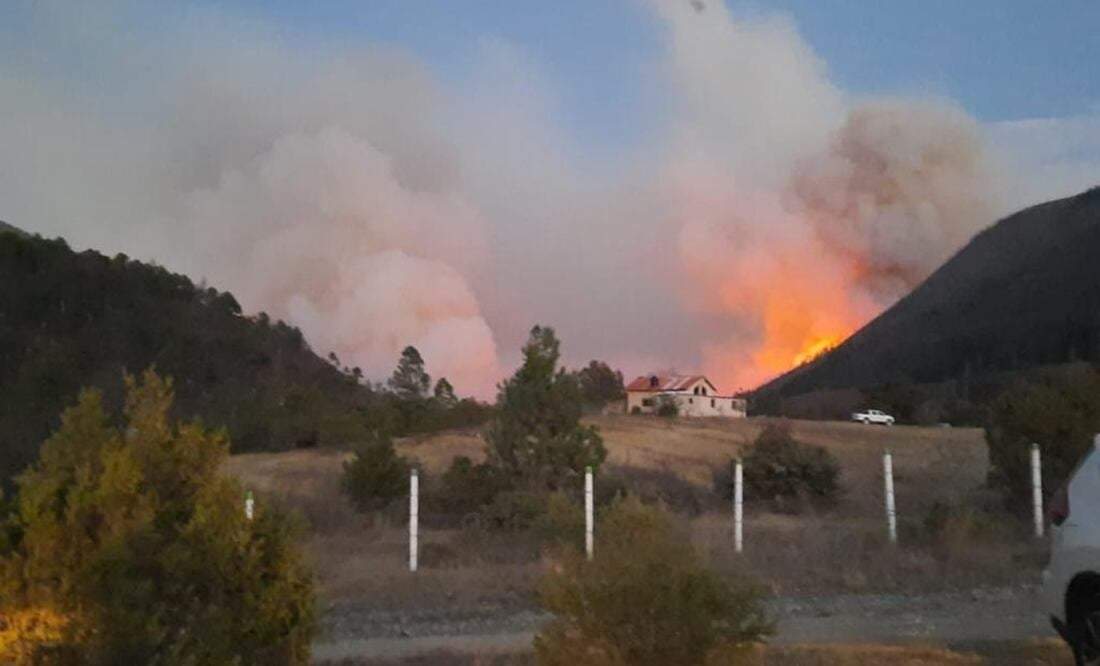 Se desata incendio en Sierra de Arteaga, Coahuila; viento impide ataque rápido