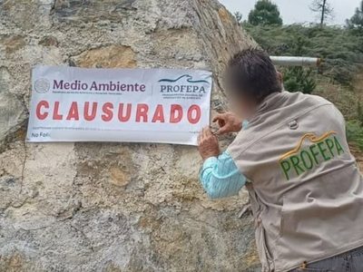 México no cumple sus obligaciones internacionales