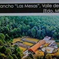 Administración entrante decidirá sobre aviones, ranchos y arte decomisado a Duarte: Yunes Linares