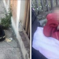 Abandonan a niño dentro de una maleta en calles de Puebla