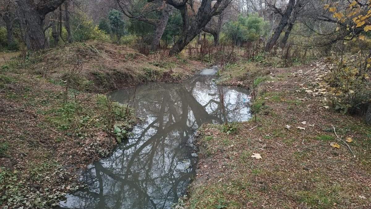 Vecinos temen por la calidad del agua en Nahuel Huapi. Fuente: (Diario Andino)