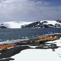 Descubrimiento revela extensión de áreas libres de hielo y vegetación en Antártida