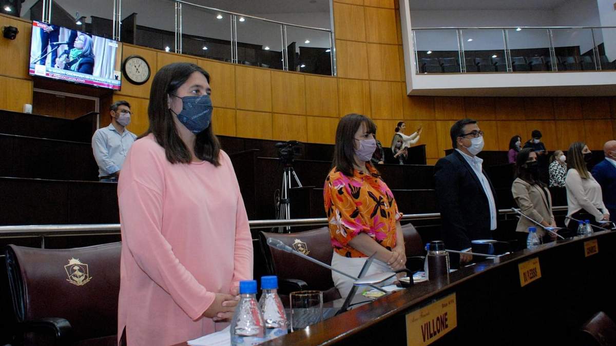 La medida fue firmada por quince miembros de la Legislatura. Fuente: (Twitter)