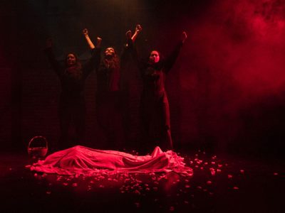 “Rosa Roja”, Rosa Luxemburgo la comunista