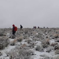 Desesperada búsqueda en la nieve de la persona desaparecida en Zapala
