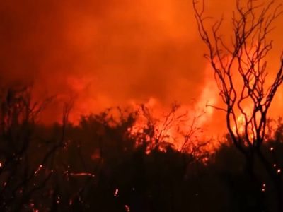 Video: impresionante incendio en Mendoza se salió de control