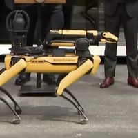 Policía de Nueva York usará perro robot contra delincuencia