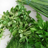 Cómo conservar hierbas aromáticas para cocinar