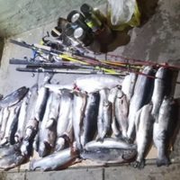 Secuestran más de 70 truchas en operativos que buscan proteger la biodiversidad de Neuquén
