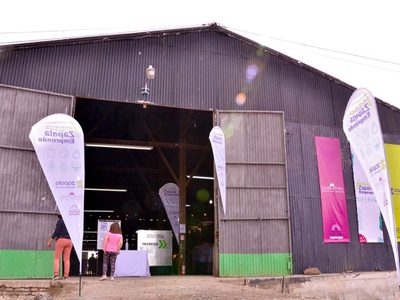 Zapala disfrutó de su típica feria de emprendimientos