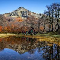 Turismo: la Asociación Hotelera pide mejorar la conectividad en San Martín de Los Andes