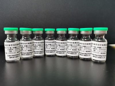 Una vacuna contra el coronavirus será testeada en la provincia de Buenos Aires