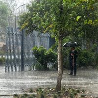 Frente frío 48 provocará lluvias y vientos fuertes de viernes a domingo en los siguientes estados