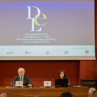 La RAE admite el uso de perreo y no binario