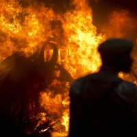 Kenia, contra el tráfico de marfil